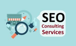 Expert SEO Consulting Firm